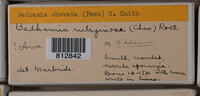 Image Associated With the Occurence